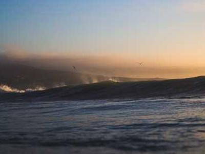 News Summary: Frankfurt Survey Reveals AI Use Across Publishing; EU Act Draws Criticism