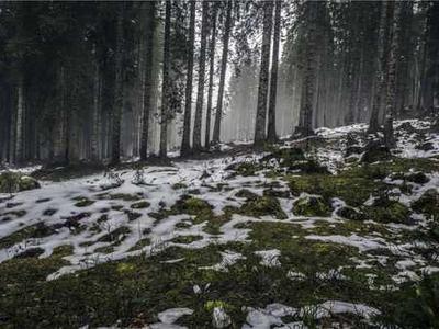 Audio Interview: The Editorial Process for Short Fiction Contests with Matty Dalrymple and Polly Campbell